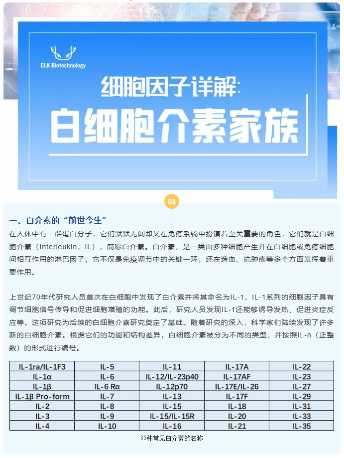 意大利贵宾会-贵宾会官方网站入口
