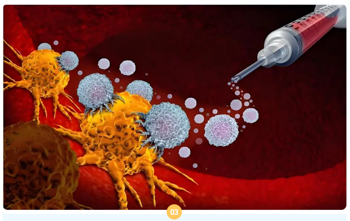 意大利贵宾会-贵宾会官方网站入口