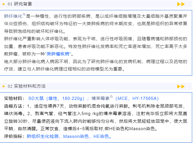 意大利贵宾会-贵宾会官方网站入口