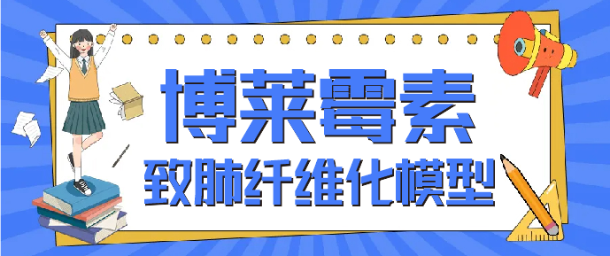意大利贵宾会-贵宾会官方网站入口