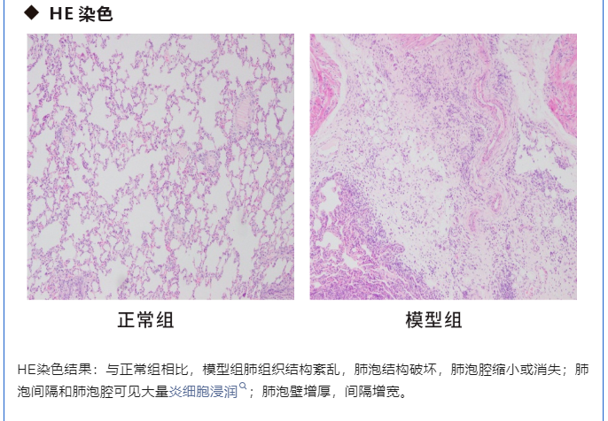 意大利贵宾会-贵宾会官方网站入口