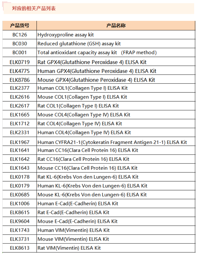 意大利贵宾会-贵宾会官方网站入口