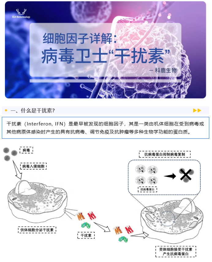意大利贵宾会-贵宾会官方网站入口