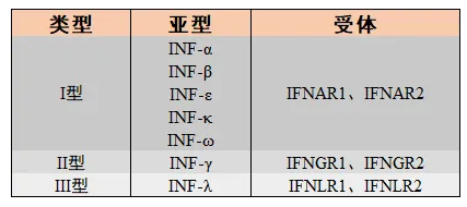意大利贵宾会-贵宾会官方网站入口