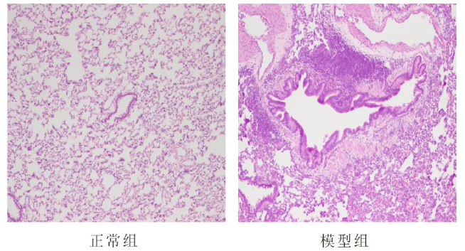 意大利贵宾会-贵宾会官方网站入口