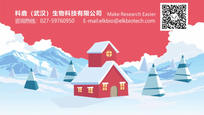 意大利贵宾会-贵宾会官方网站入口