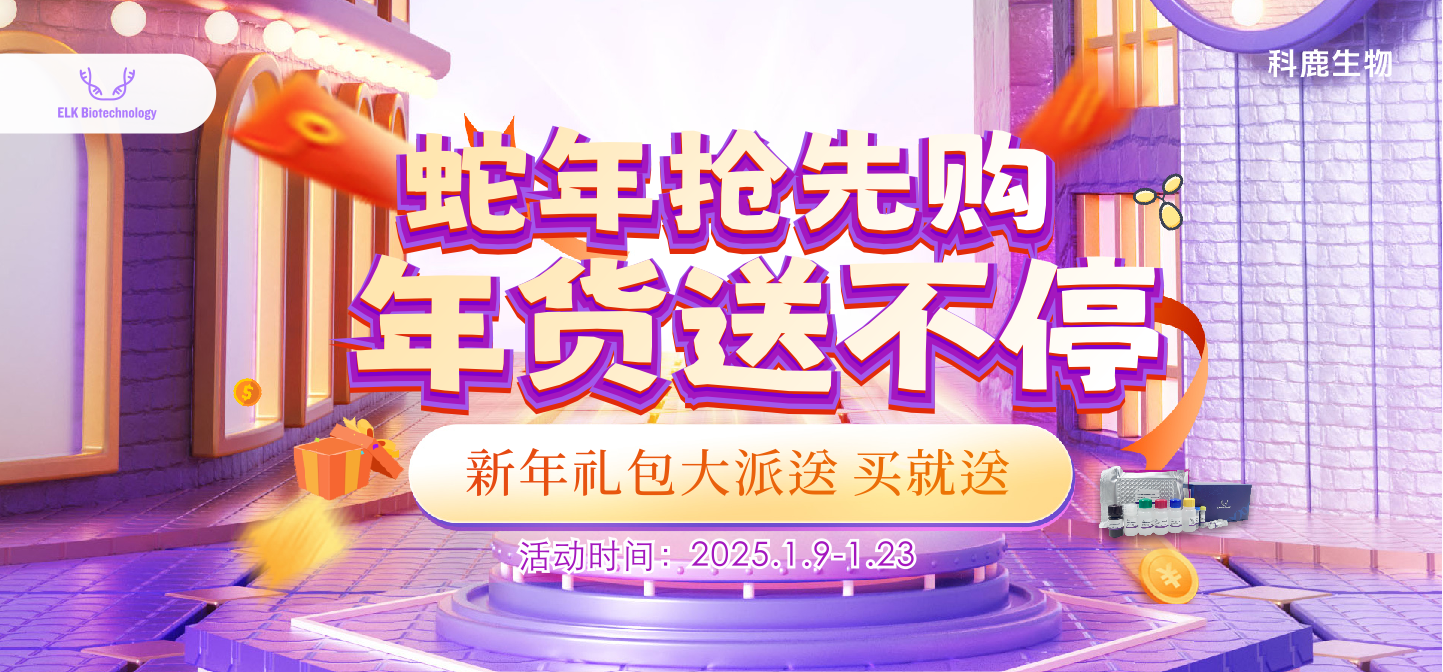 意大利贵宾会-贵宾会官方网站入口