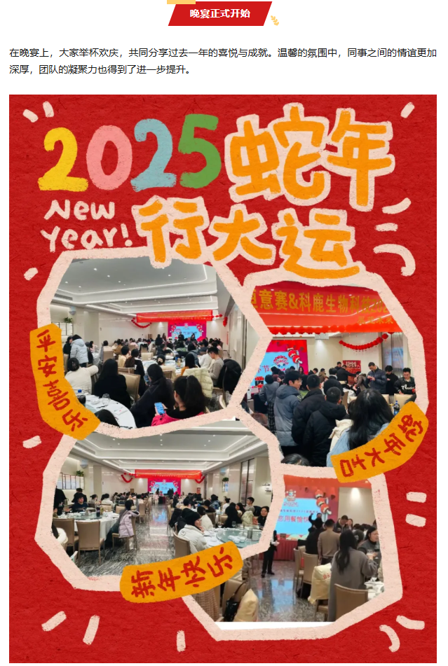 意大利贵宾会-贵宾会官方网站入口