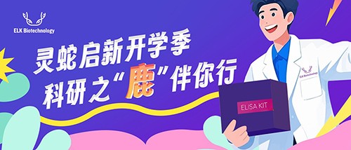 意大利贵宾会-贵宾会官方网站入口