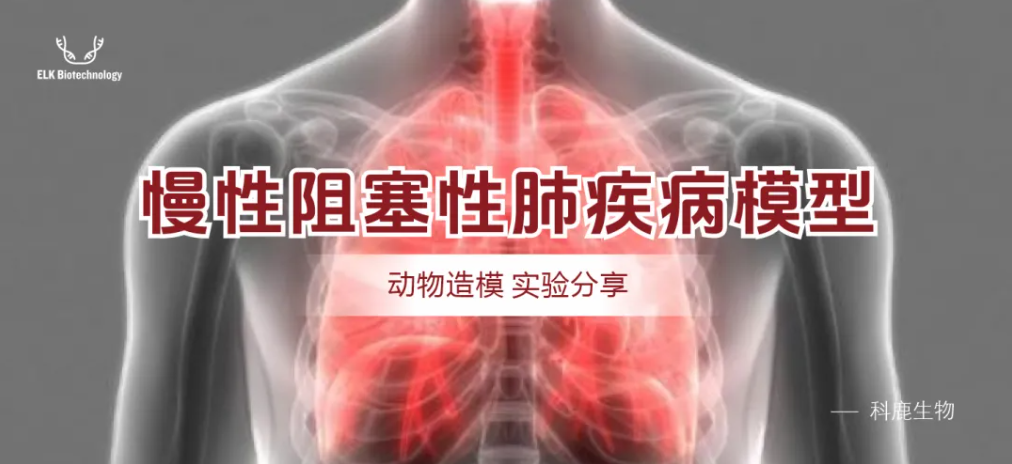 意大利贵宾会-贵宾会官方网站入口