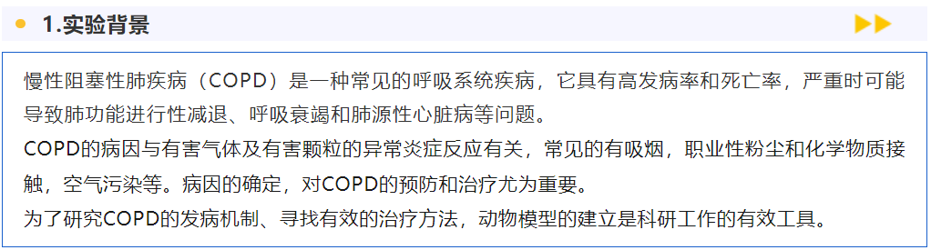 意大利贵宾会-贵宾会官方网站入口