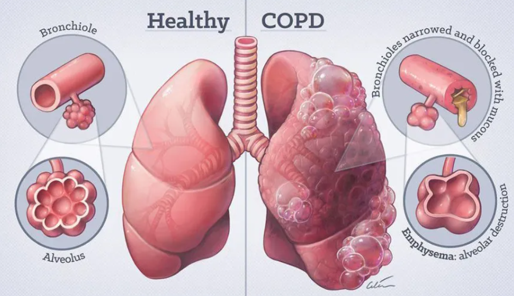 意大利贵宾会-贵宾会官方网站入口