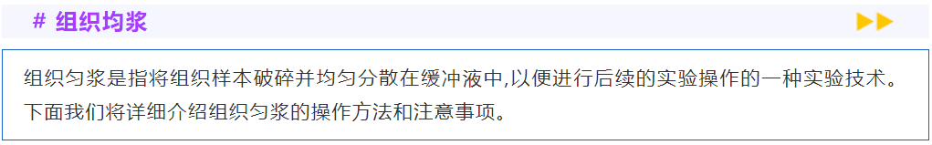 意大利贵宾会-贵宾会官方网站入口