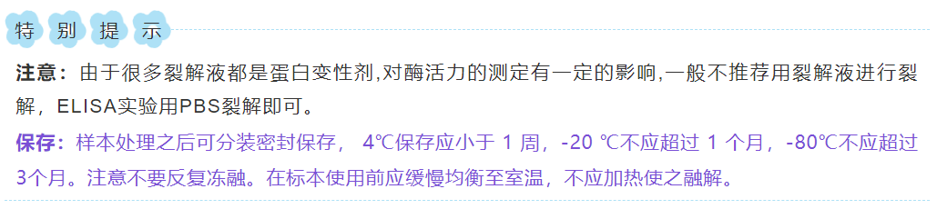 意大利贵宾会-贵宾会官方网站入口