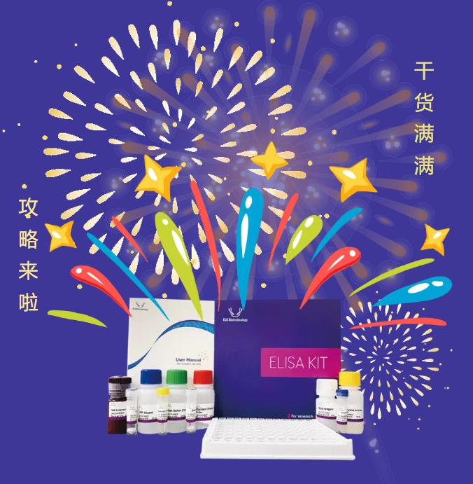意大利贵宾会-贵宾会官方网站入口