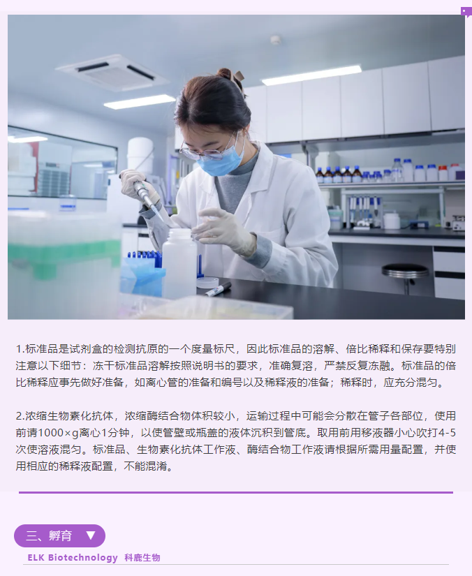 意大利贵宾会-贵宾会官方网站入口