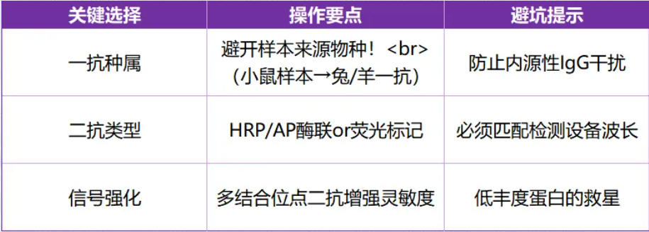 意大利贵宾会-贵宾会官方网站入口