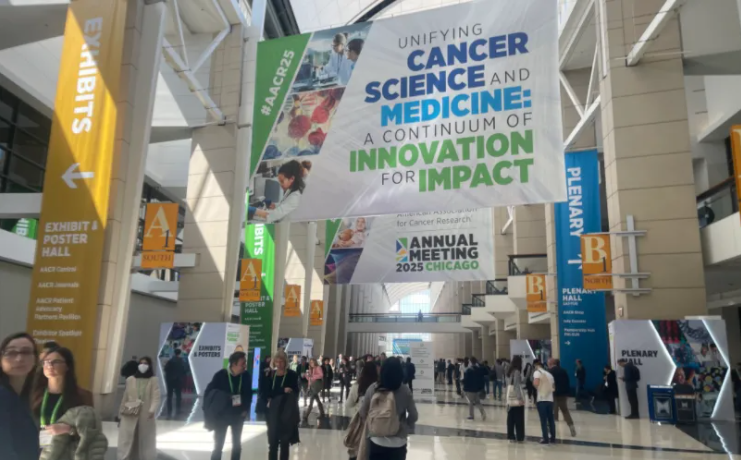 意大利贵宾会-贵宾会官方网站入口