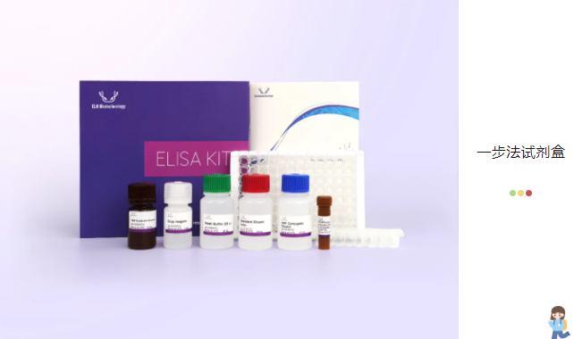 意大利贵宾会-贵宾会官方网站入口