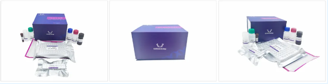 意大利贵宾会-贵宾会官方网站入口