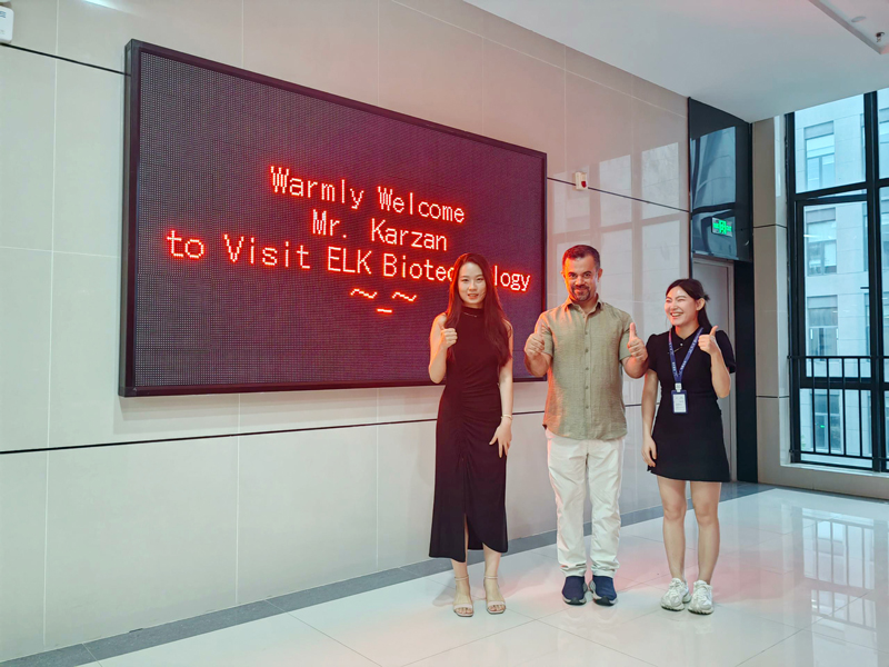 意大利贵宾会-贵宾会官方网站入口