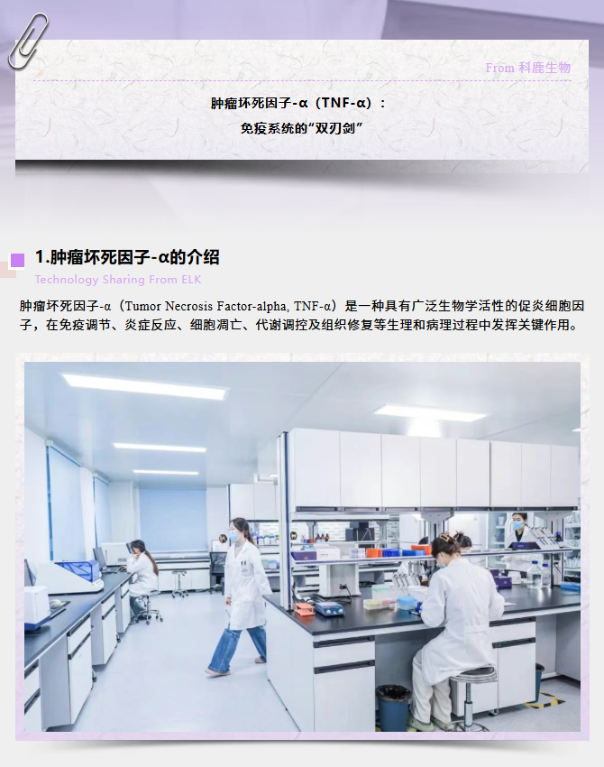 意大利贵宾会-贵宾会官方网站入口