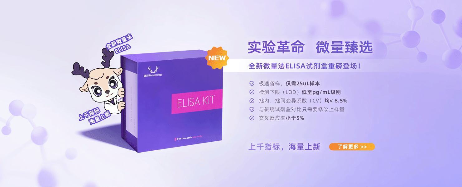 意大利贵宾会-贵宾会官方网站入口