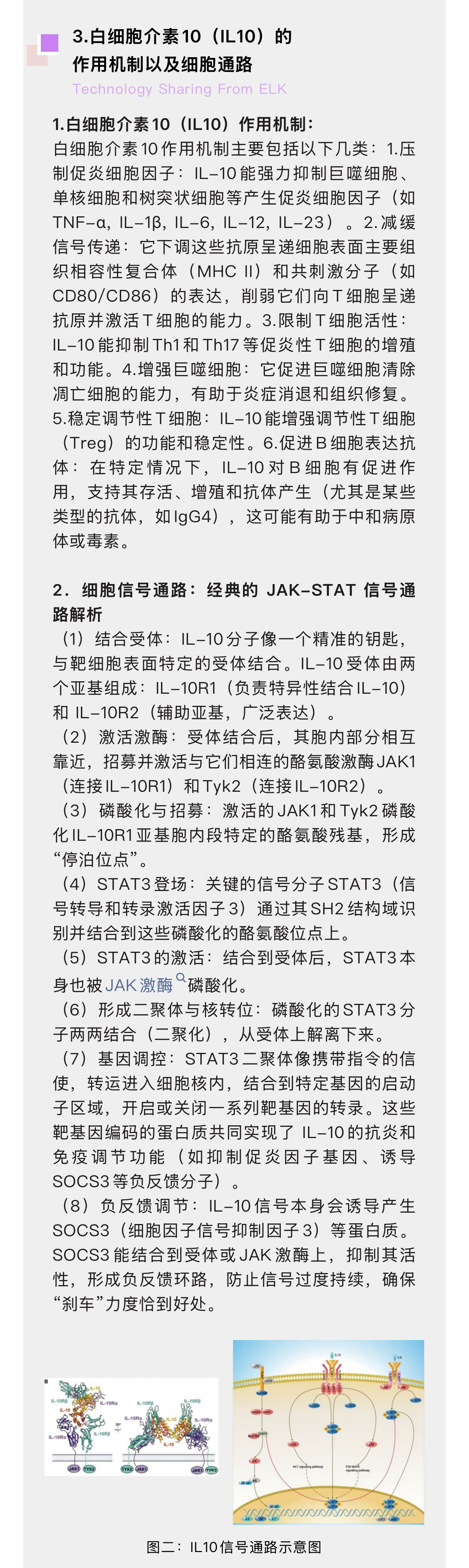 意大利贵宾会-贵宾会官方网站入口