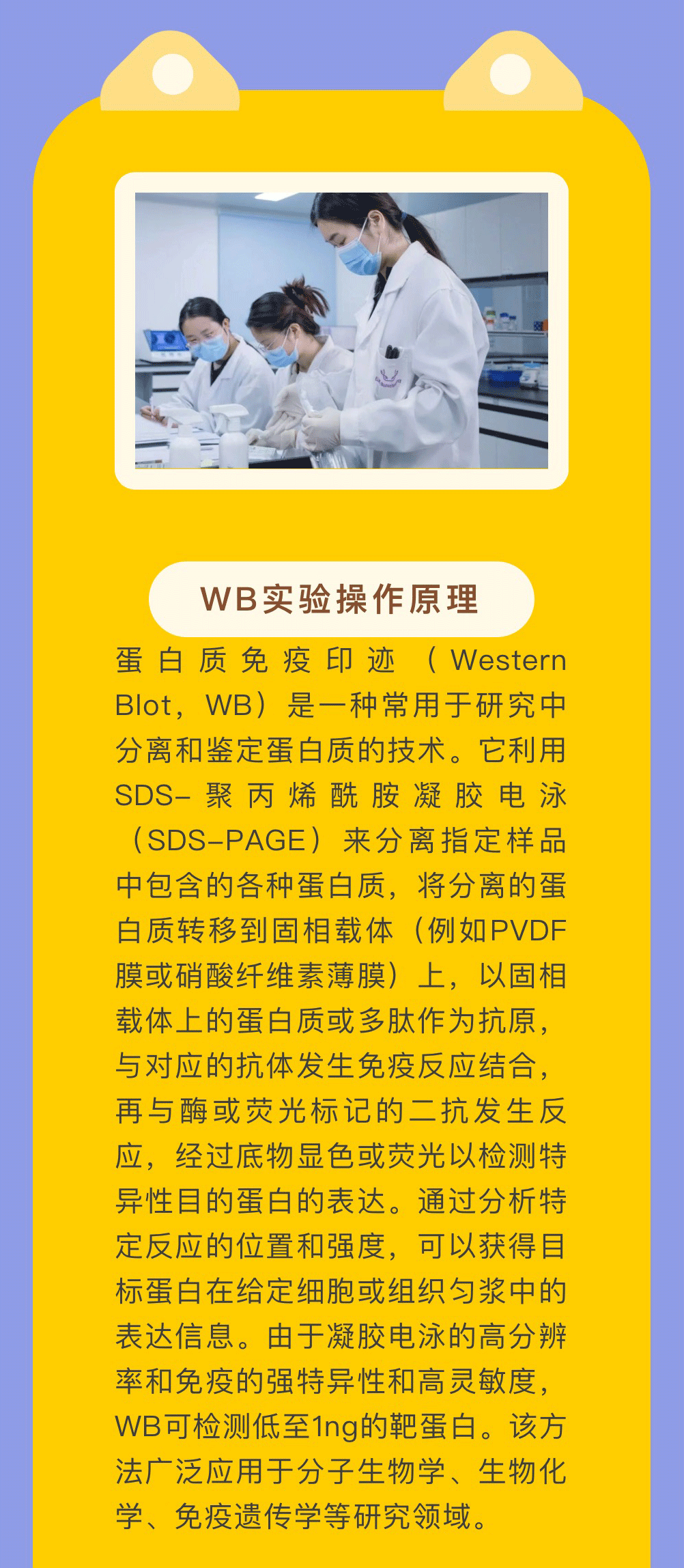 意大利贵宾会-贵宾会官方网站入口