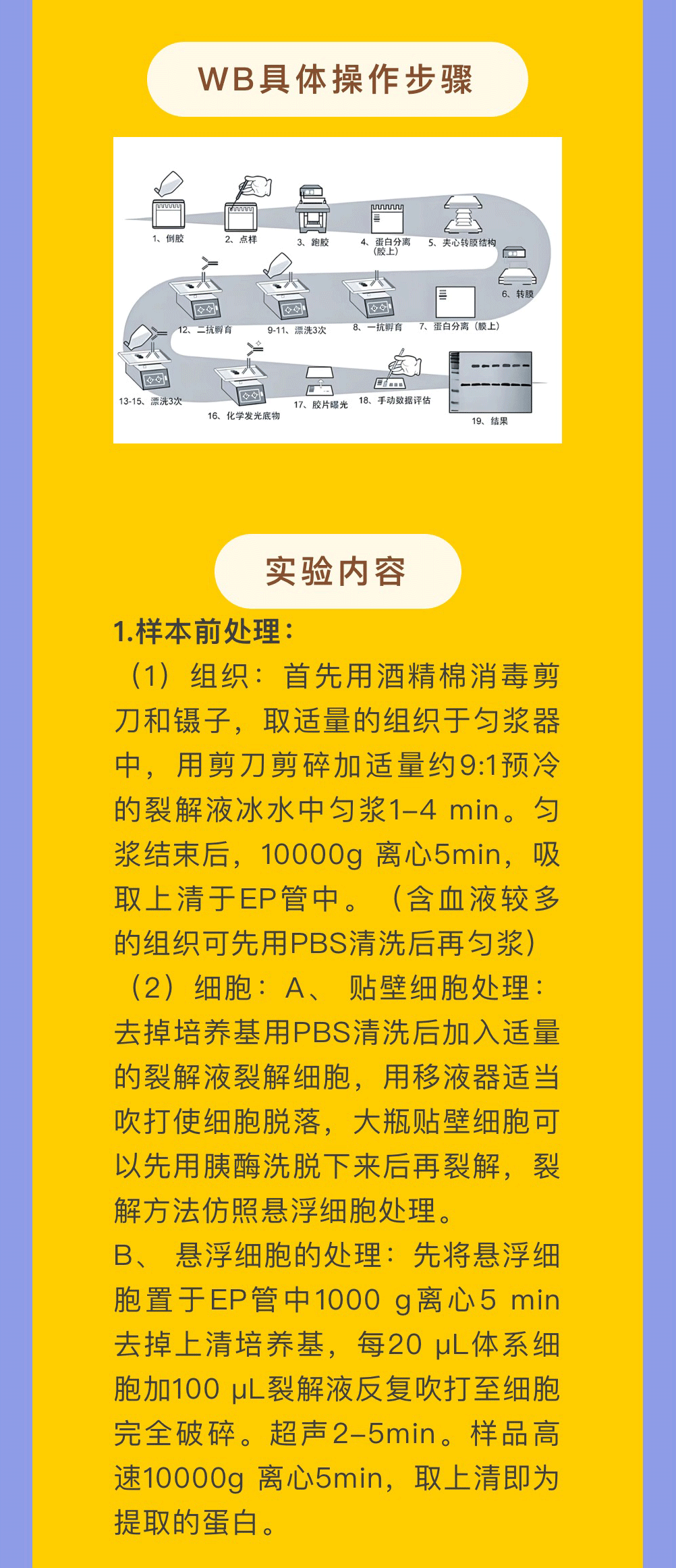 意大利贵宾会-贵宾会官方网站入口