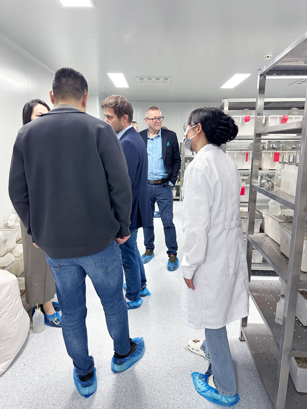 意大利贵宾会-贵宾会官方网站入口