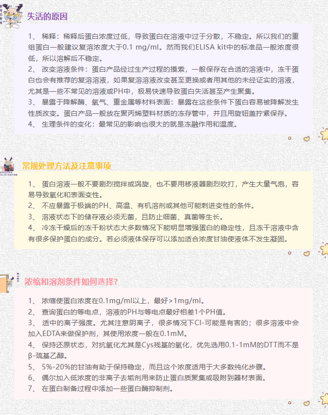 意大利贵宾会-贵宾会官方网站入口