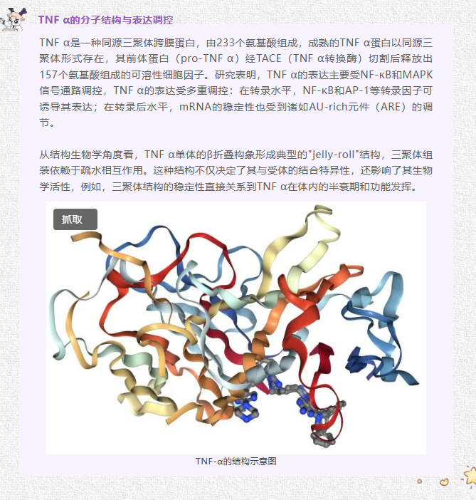 意大利贵宾会-贵宾会官方网站入口