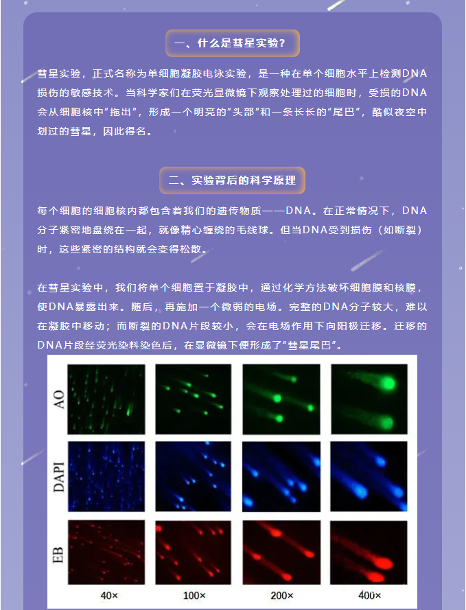 意大利贵宾会-贵宾会官方网站入口