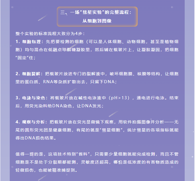 意大利贵宾会-贵宾会官方网站入口