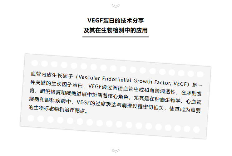 意大利贵宾会-贵宾会官方网站入口