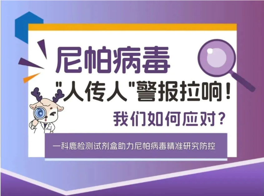 意大利贵宾会-贵宾会官方网站入口