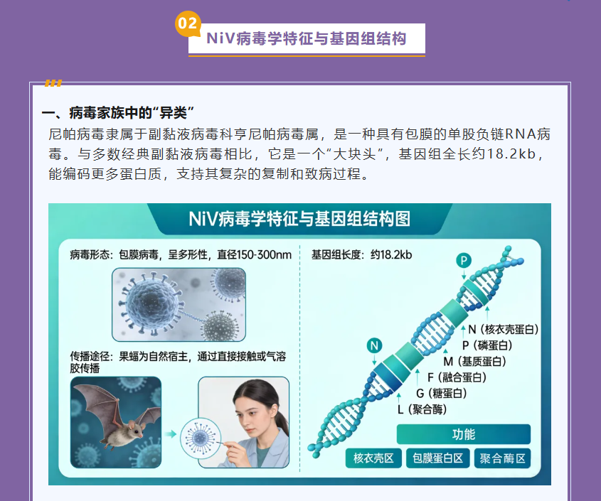 意大利贵宾会-贵宾会官方网站入口