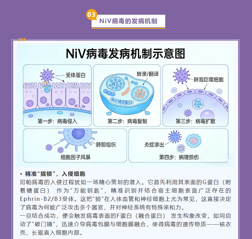 意大利贵宾会-贵宾会官方网站入口