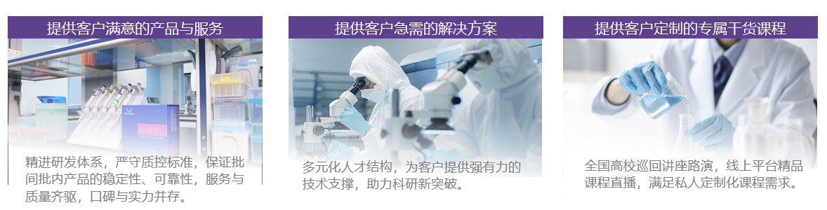 意大利贵宾会-贵宾会官方网站入口