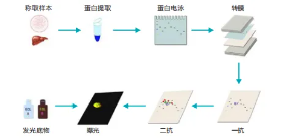 意大利贵宾会-贵宾会官方网站入口