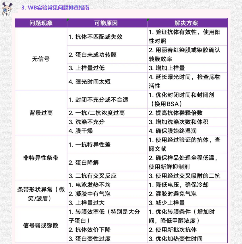 意大利贵宾会-贵宾会官方网站入口