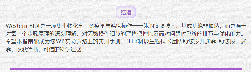意大利贵宾会-贵宾会官方网站入口