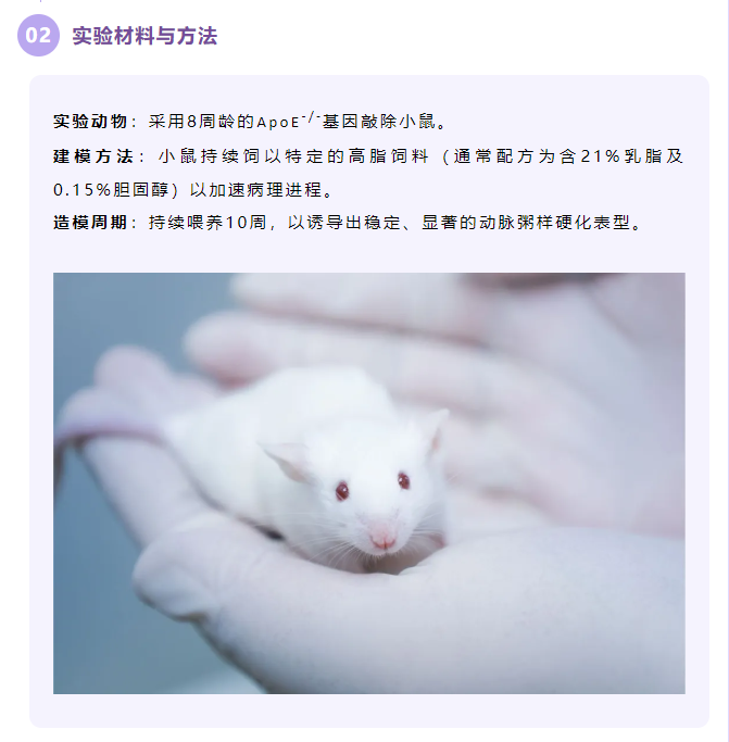 意大利贵宾会-贵宾会官方网站入口