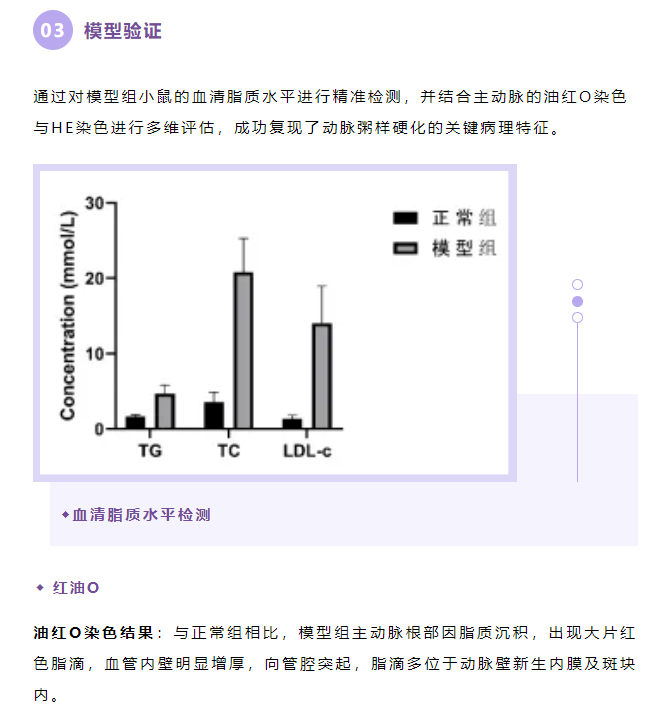意大利贵宾会-贵宾会官方网站入口