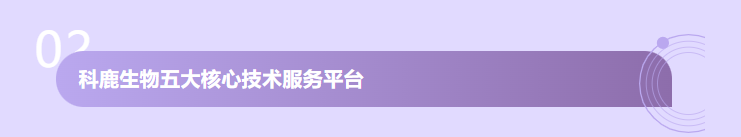 意大利贵宾会-贵宾会官方网站入口