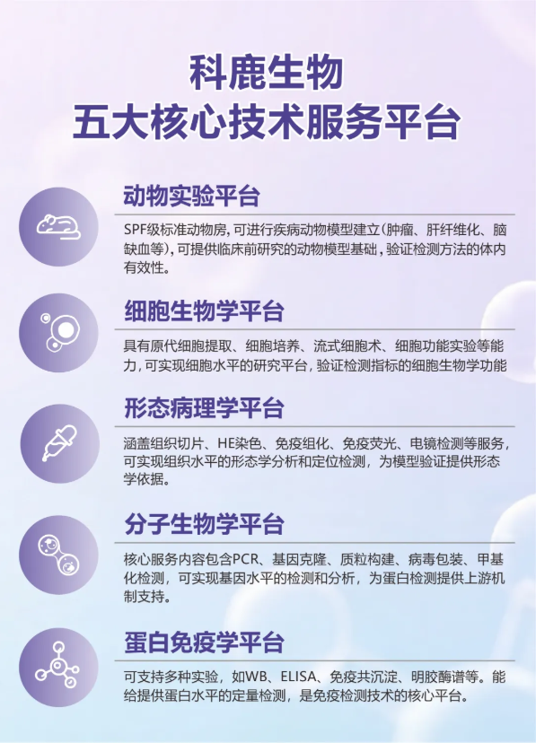 意大利贵宾会-贵宾会官方网站入口