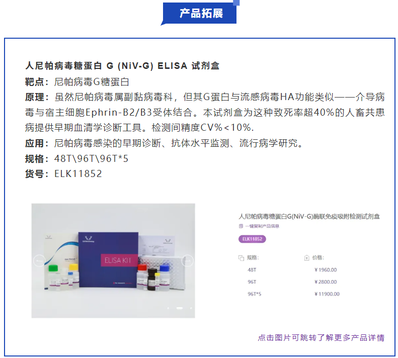 意大利贵宾会-贵宾会官方网站入口