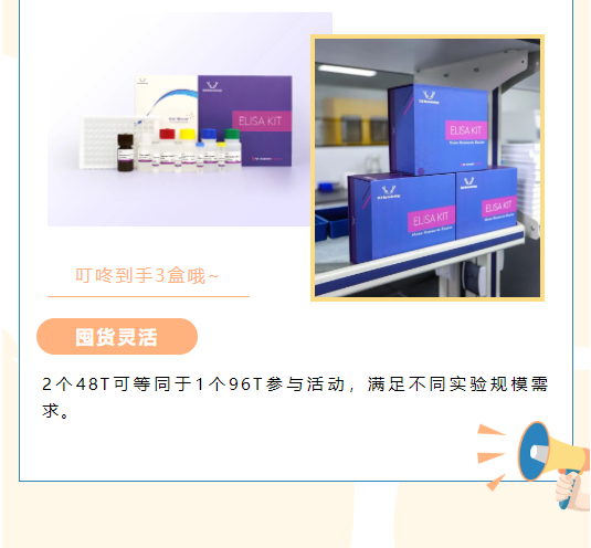 意大利贵宾会-贵宾会官方网站入口