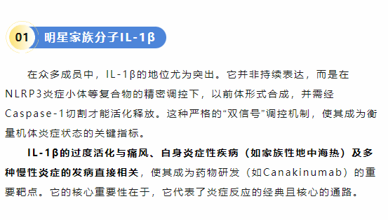 意大利贵宾会-贵宾会官方网站入口